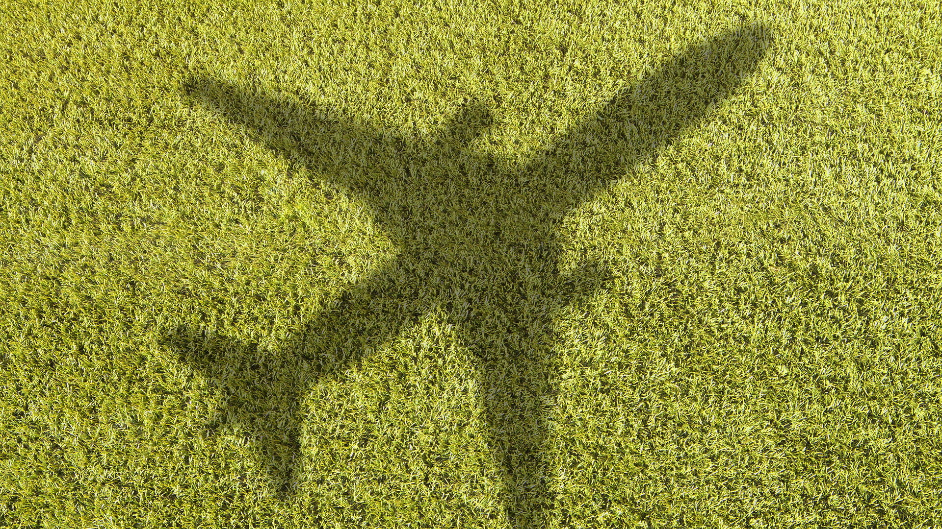 shadow of airplane on grass