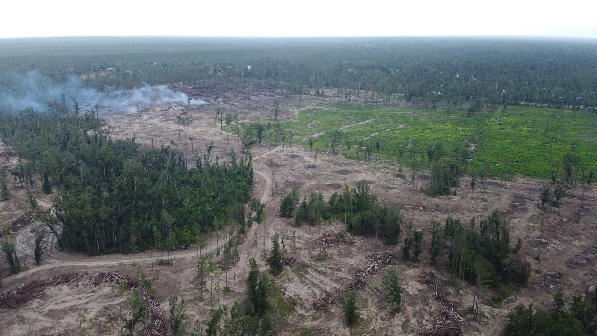 Deforestation of barren land