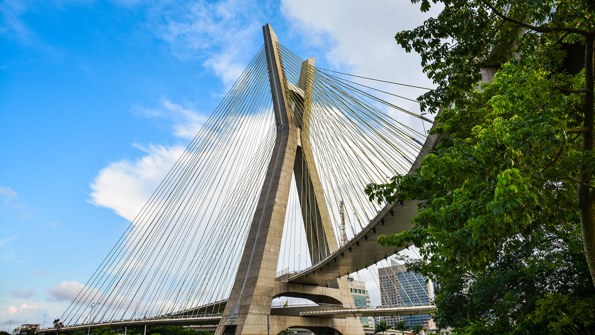 Bridge in  Brazil