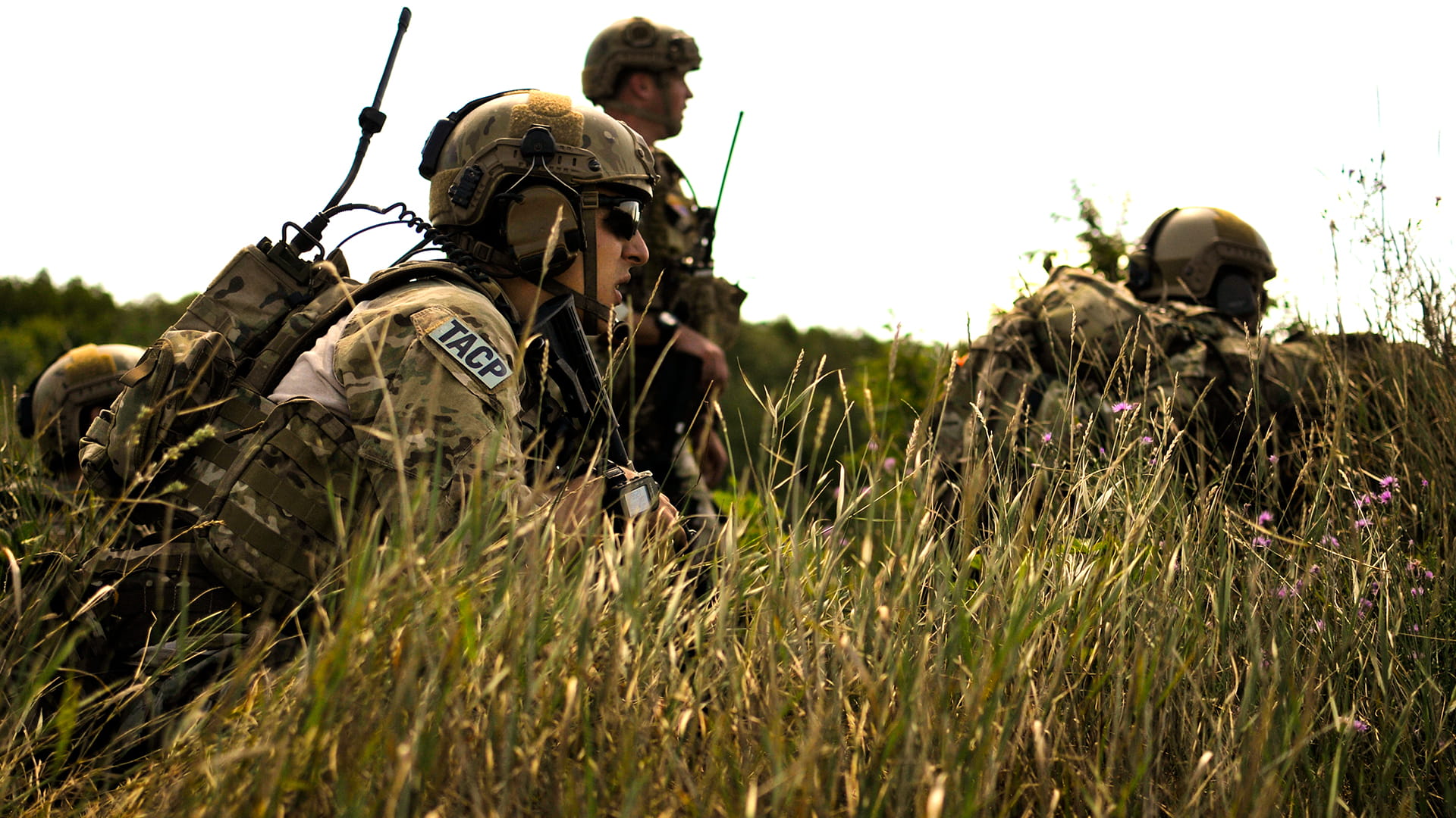 Military soldiers hiding in tall grass