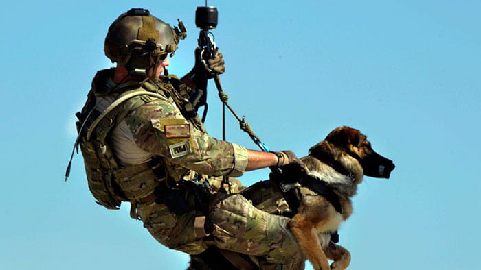 A soldier and tactical explosive detection dog participate in hoist training