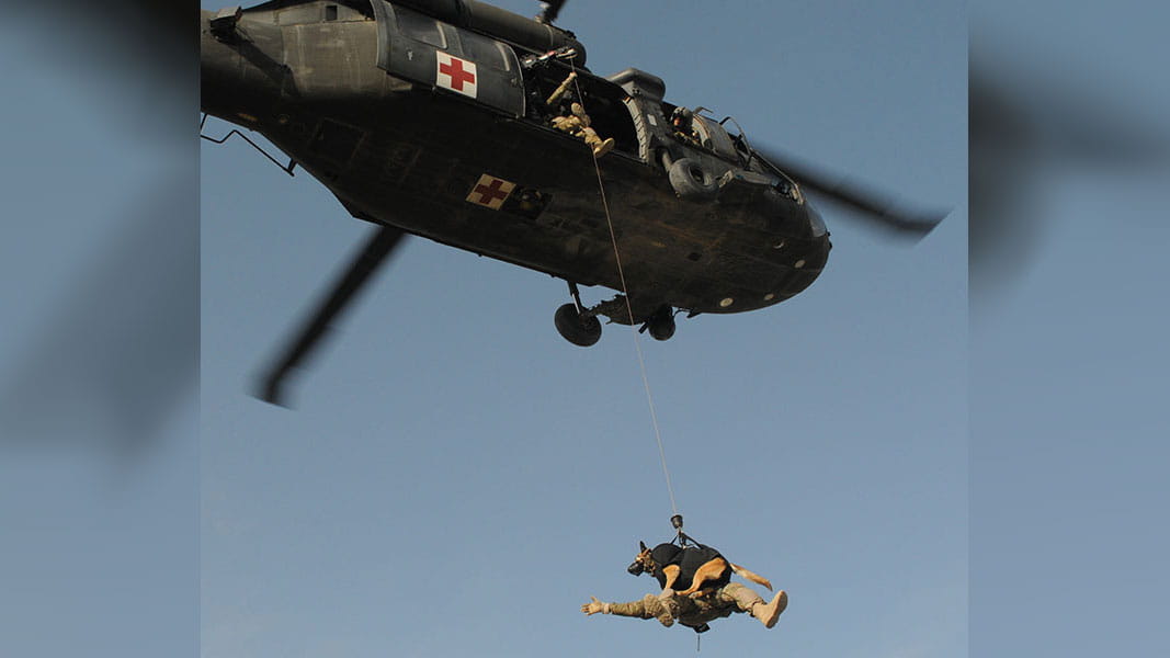 A flight medic and Military Working Dog participate in hoist training