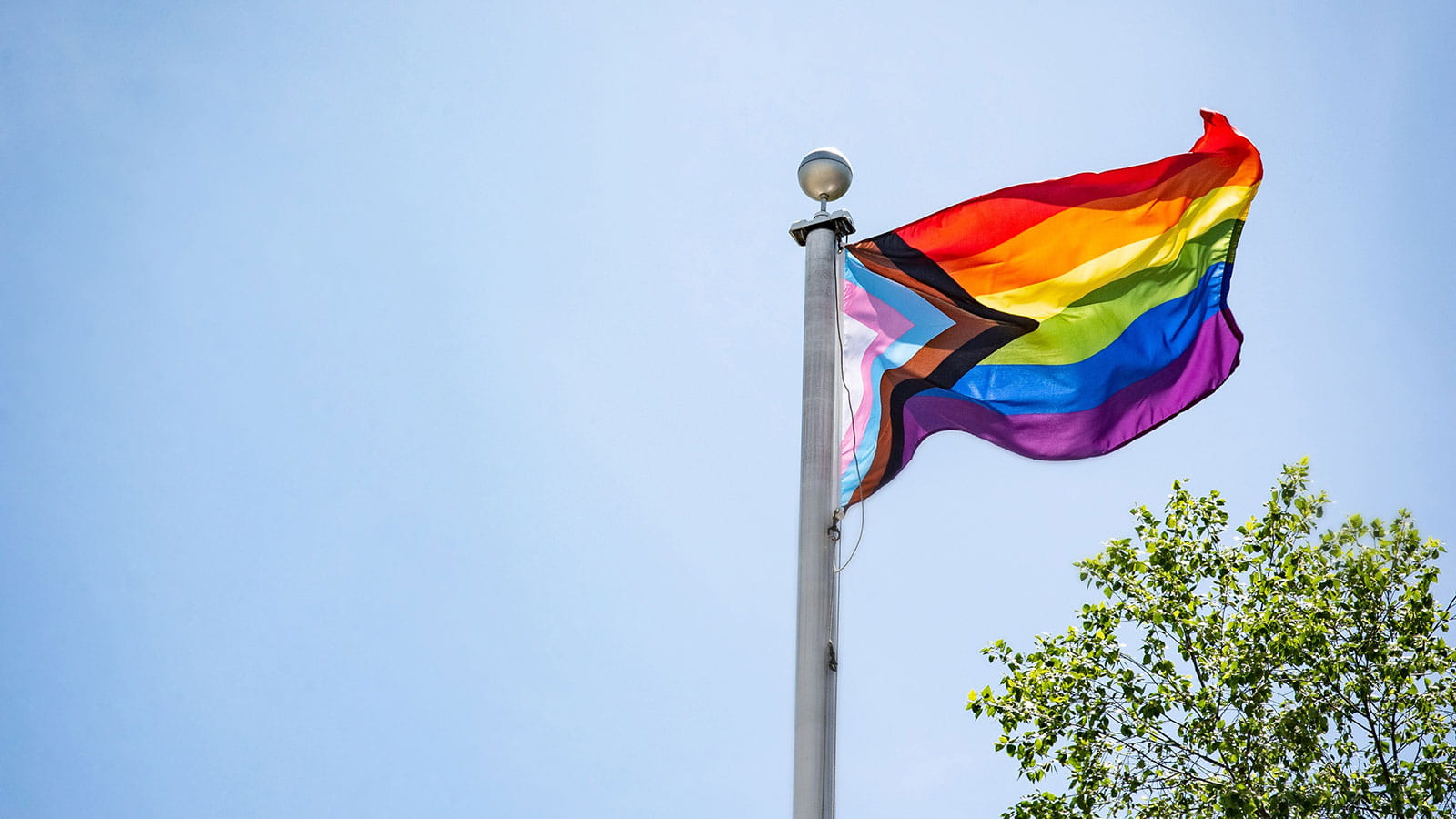 LGBTQIA+ pride flag