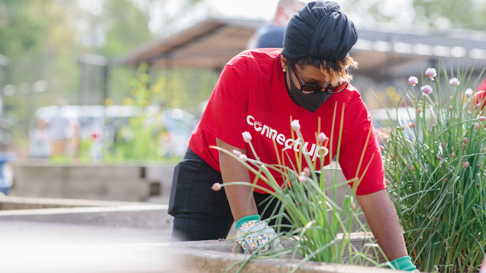A volunteer wearing a red shirt and gardening gloves reaches into a planter at a community garden in Connecticut